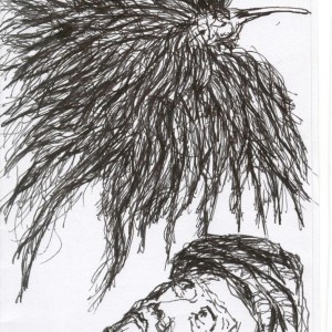  A tépett tollú / With Shredded Feathers (2003, toll, 10,5 cm x 14,5 cm)