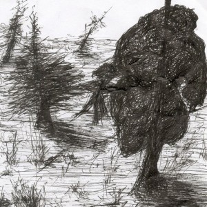 Felnyársalva / Impaled (2004, toll, 13 cm x 14,5 cm)